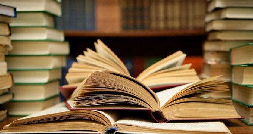 Clases 2 lengua literatura